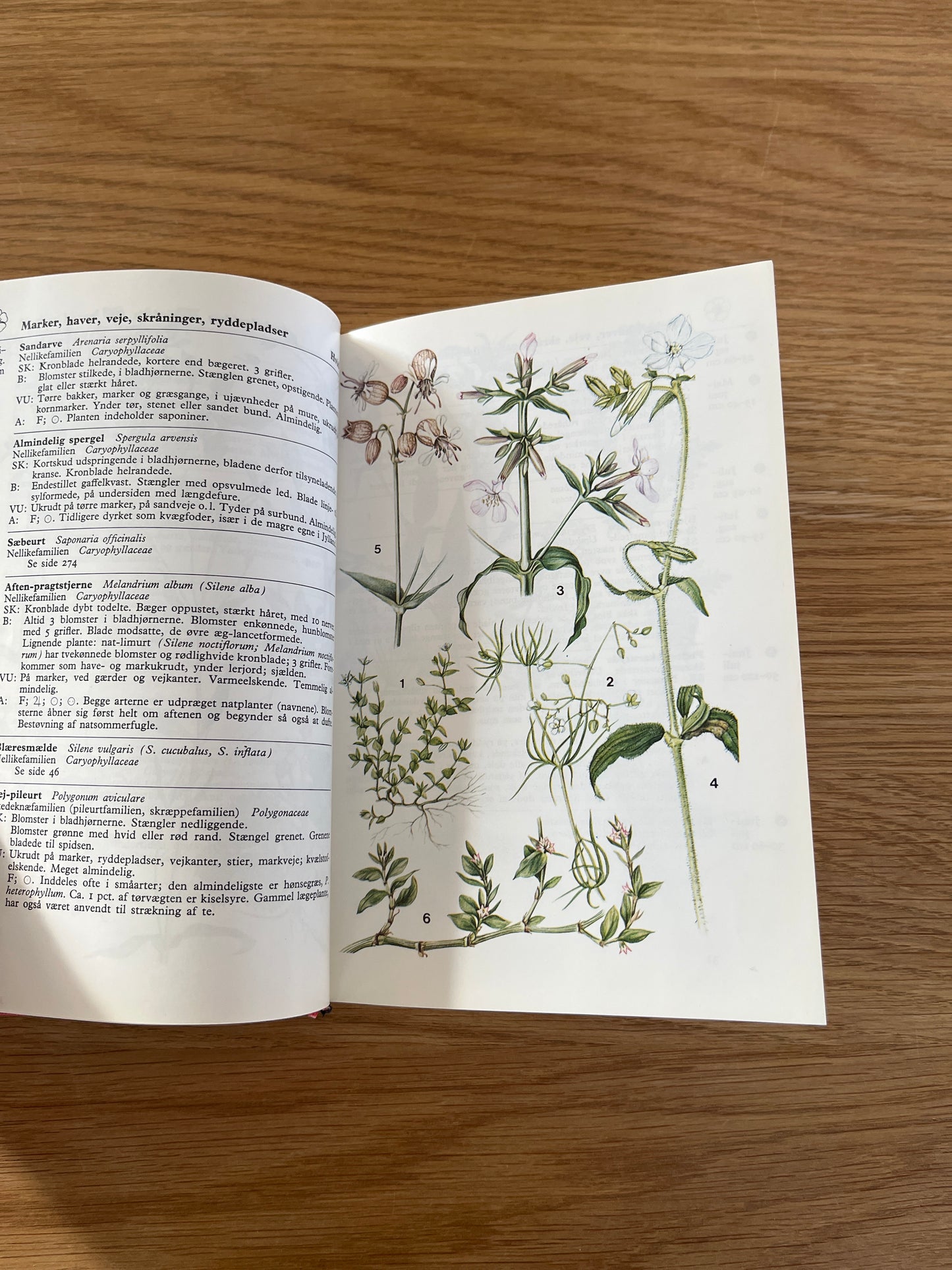 Lademanns naturfører- Farve-flora