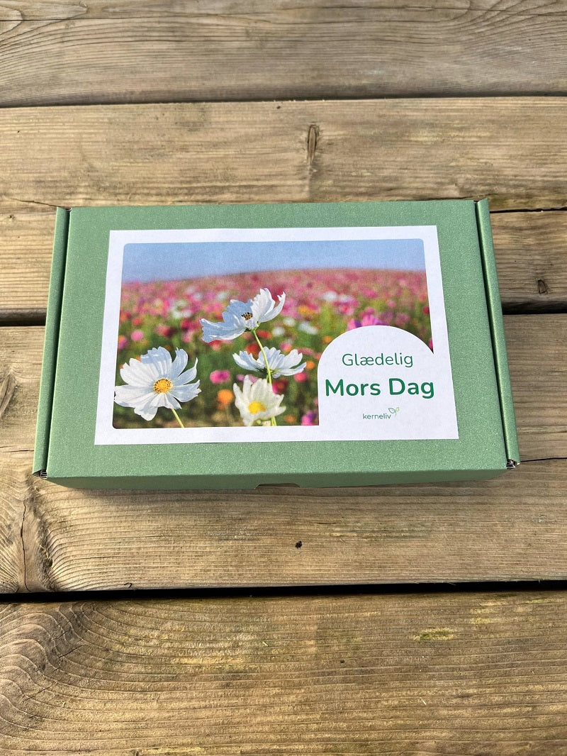 Mors Dag - blomster frøpakke med kort