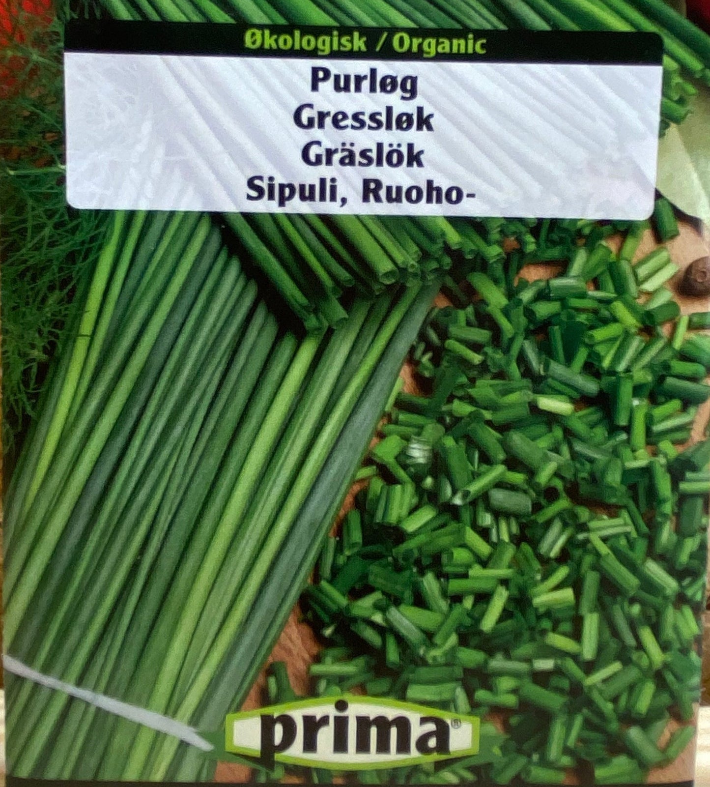 Purløg " Hvidløgspurløg"