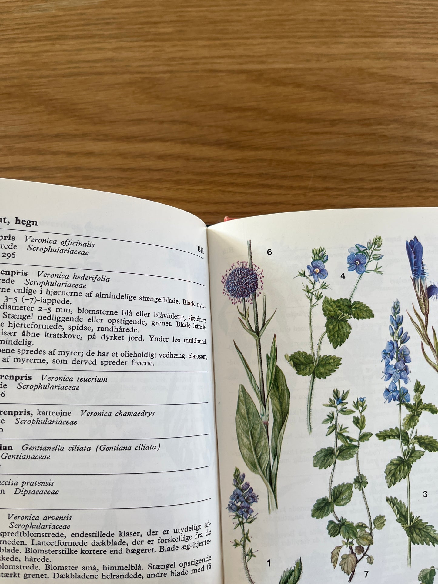 Lademanns naturfører- Farve-flora
