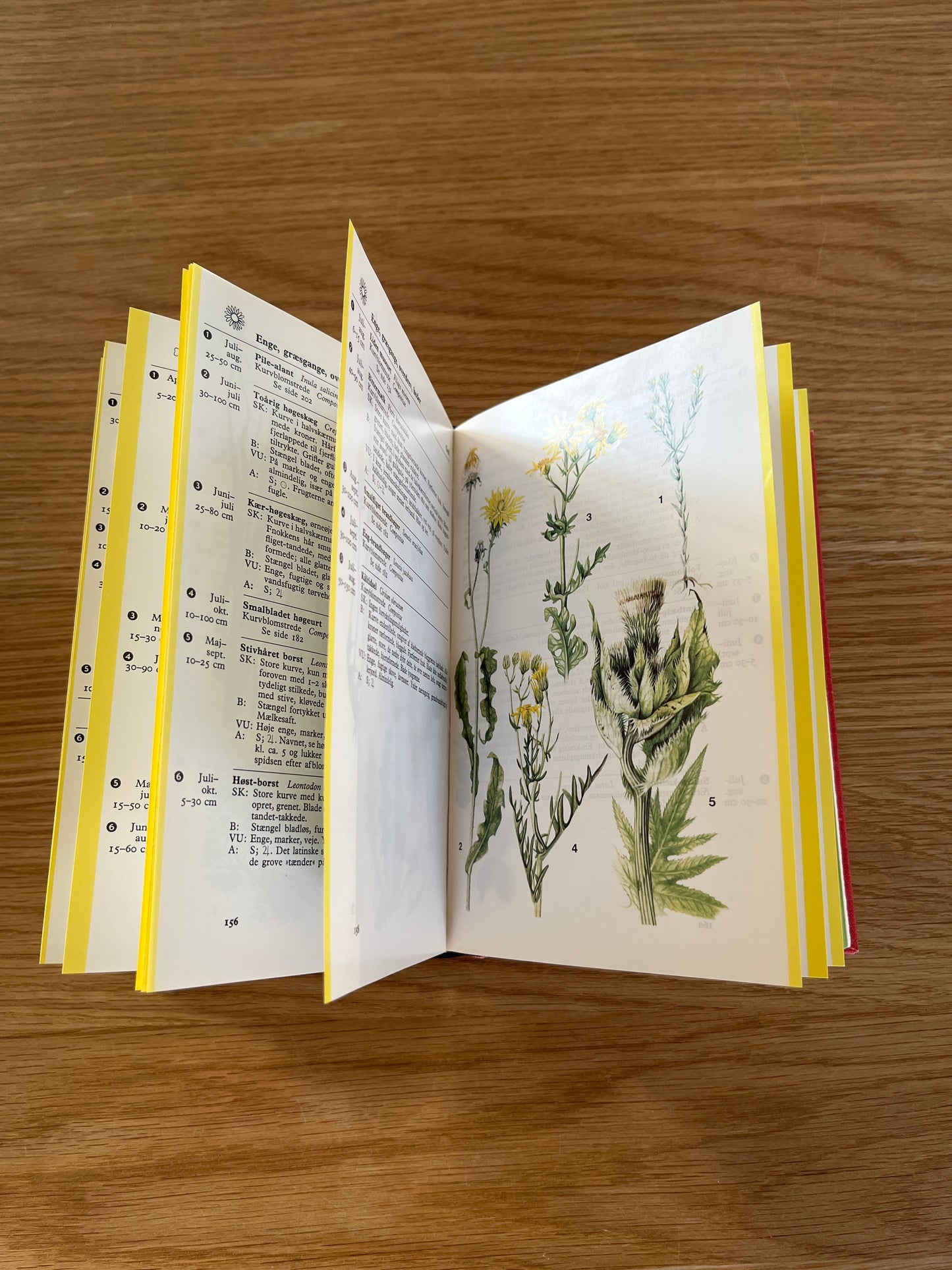 Lademanns naturfører- Farve-flora