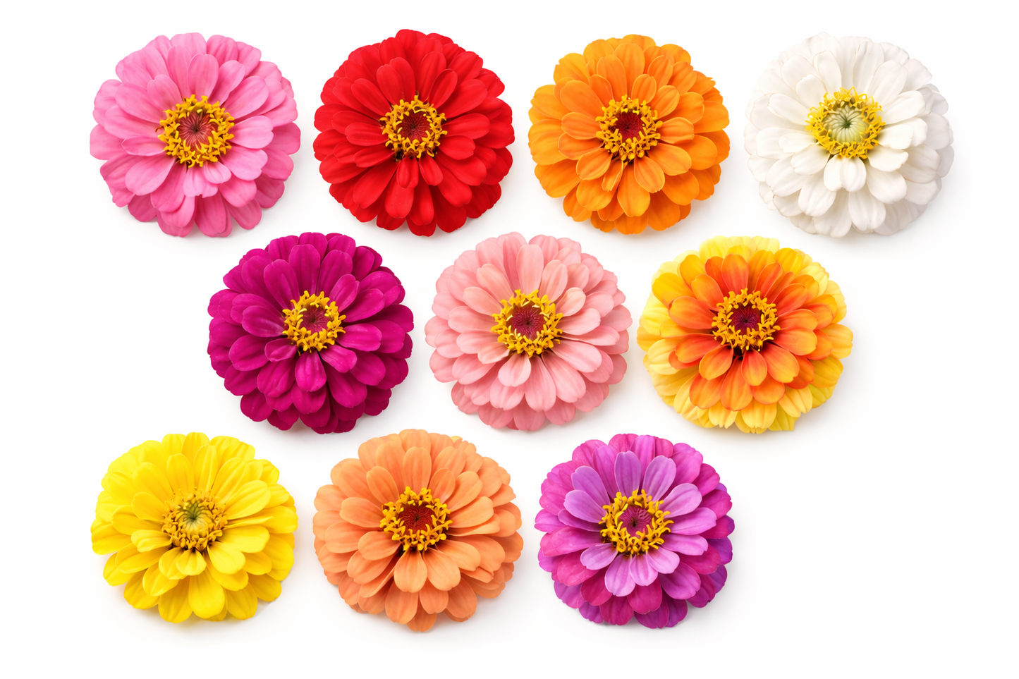 10 SMUKKE FRØKENHATTE