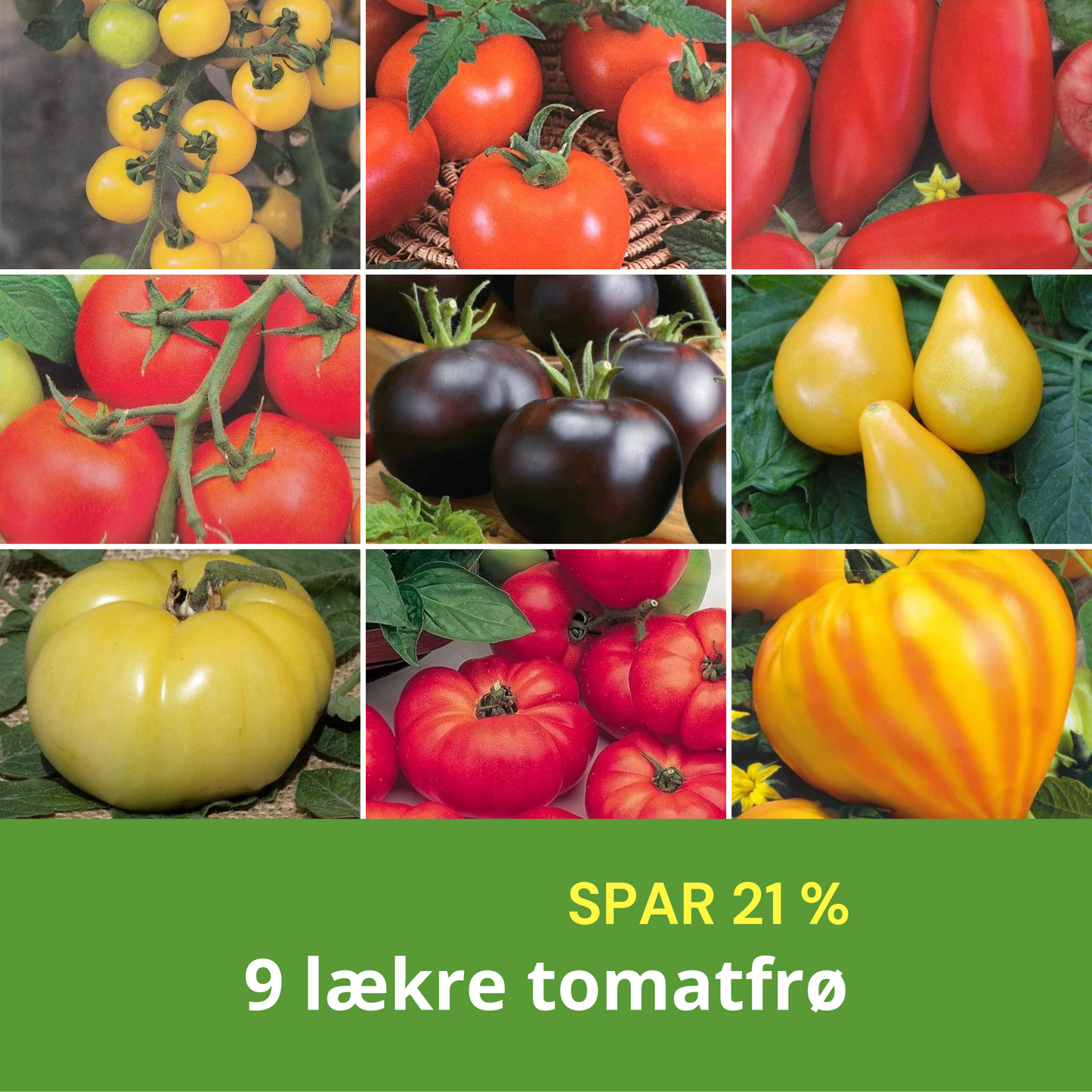 9 LÆKRE TOMATER