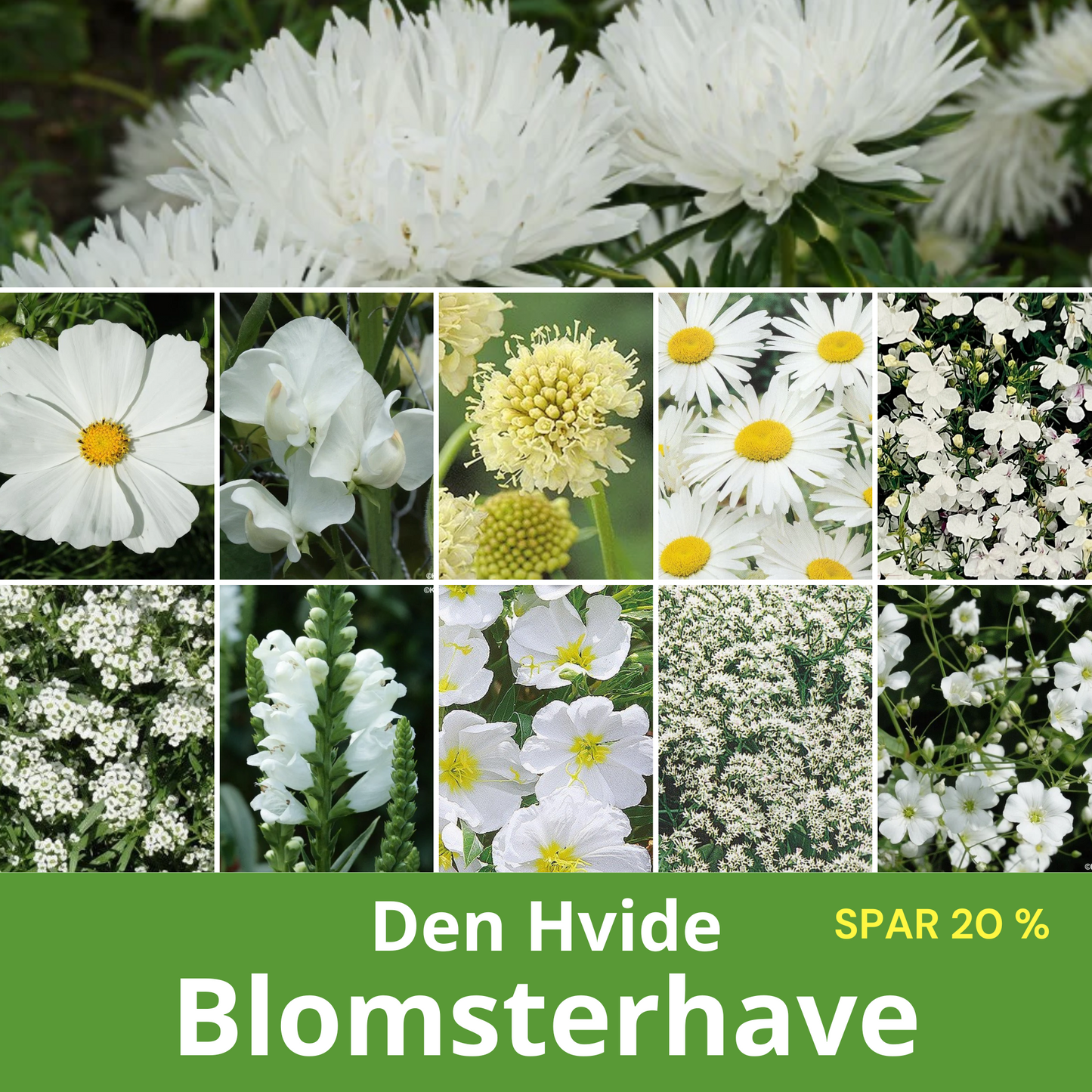 Den hvide blomsterhave