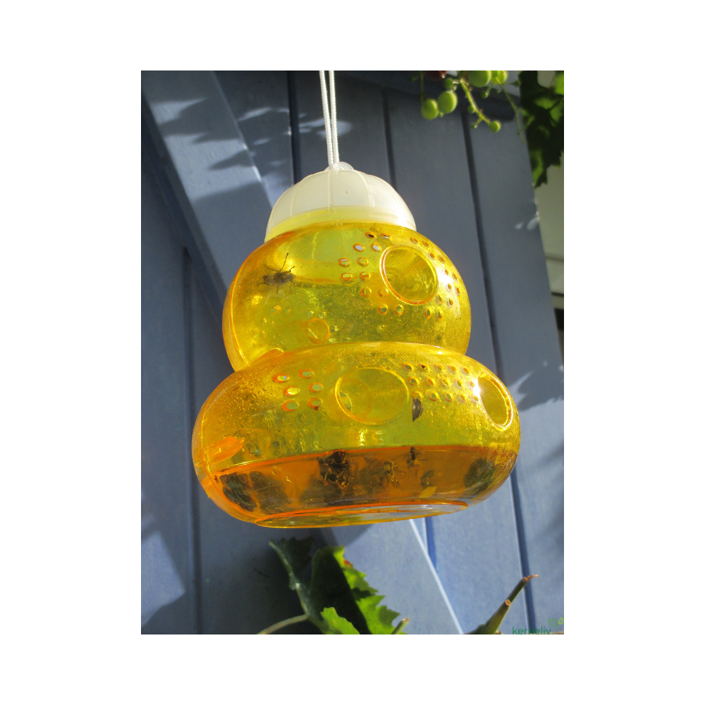 Hvepse fælde Trap-It