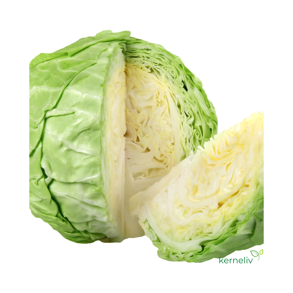 Hvidkål - Jubilee H