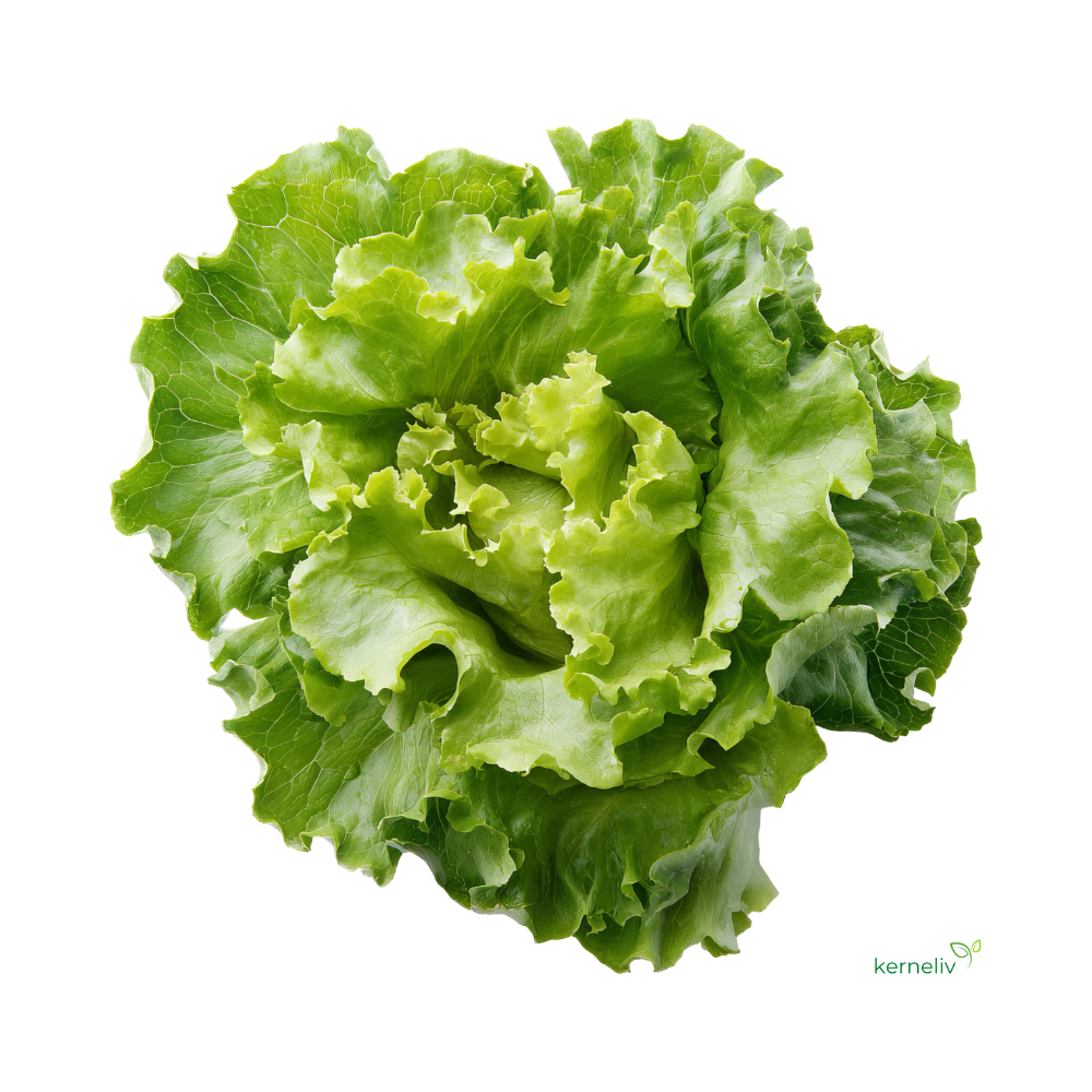 Salathoved - Justine