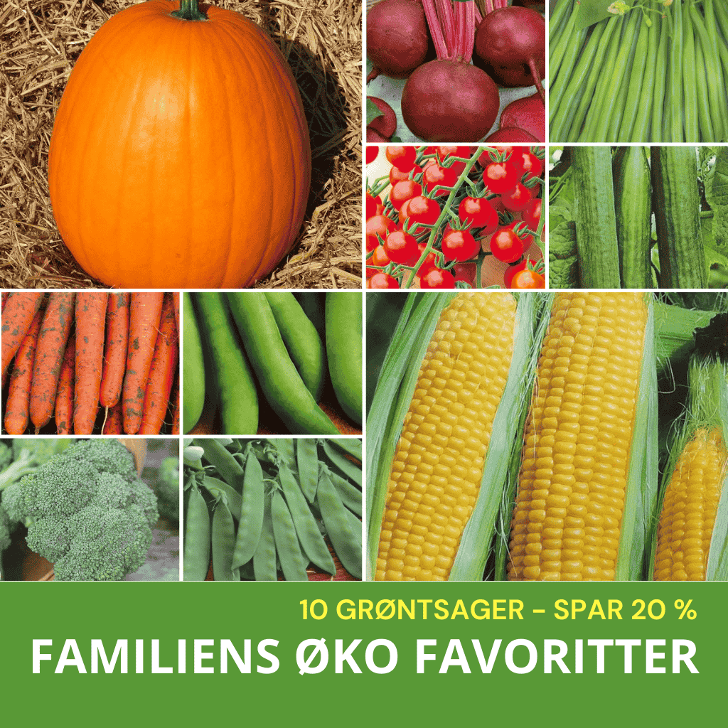 FAMILIENS ØKO FAVORITTER (10 GRØNTSAGSFRØ)