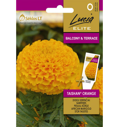 Fløjlsblomst Tagetes 'Taishan Orange'