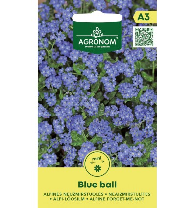 Alpin forglemmigej 'BLUE BALL'
