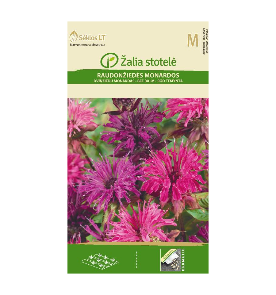 Hestemynte, Monarda Didyma