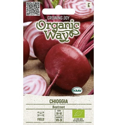 Rødbede 'CHIOGGIA', økologisk