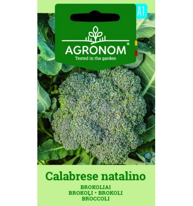 Broccoli 'Calibrese Natalino'