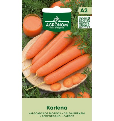 Vintergulerod 'Karlena'