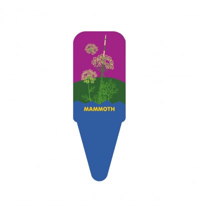 Dild 'Mammoth' - Nelly Jelly