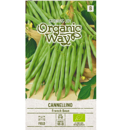Grøn bønne 'CANNELLINO', økologisk