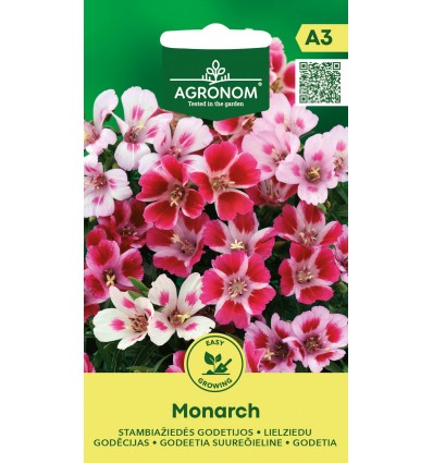 Silkeblomst 'Monarch'