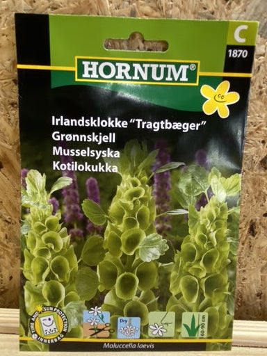 Irlandsklokke "tragtbæger"