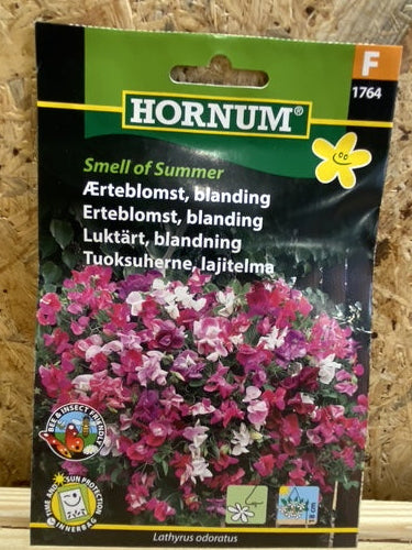 Ærteblomst blanding "Lathyrus odoratus" Smell of summer