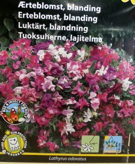 Ærteblomst blanding "Lathyrus odoratus" Smell of summer