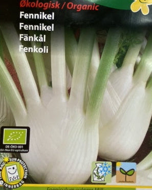Fennikel Økologisk