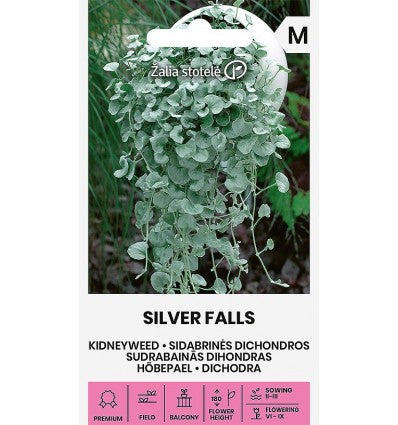 Nyreurt / Sølvnyrestjerne 'SILVER FALLS'