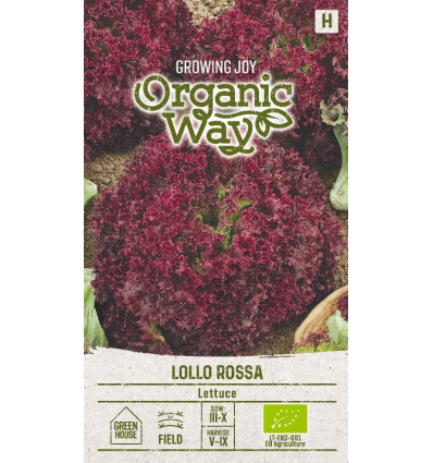 Salat 'LOLLO ROSSA', økologisk