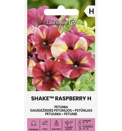 Petunia 'Rasberry H'