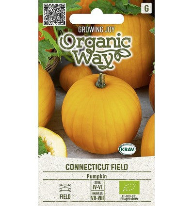 Græskar 'Connecticut Field', økologisk