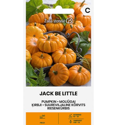 Pyntegræskar 'Jack Be Little'
