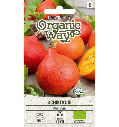 Græskar 'Uchiki Kuri', økologisk