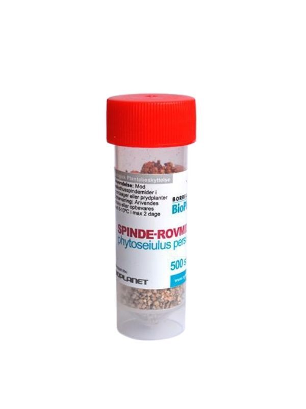 Rovmider mod spindemider, 2.000 stk. (gratis fragt)