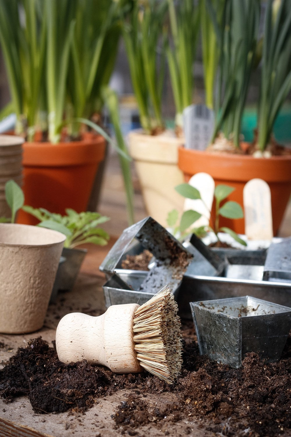 Spirebakke i zink med 30 potter