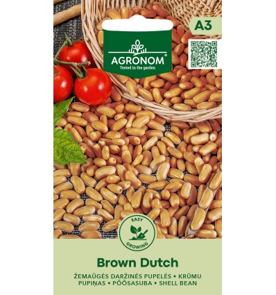 Brun hollandsk bælg-bønne "Brown Dutch"