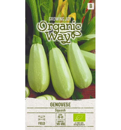 Squash 'GENOVESE', økologisk