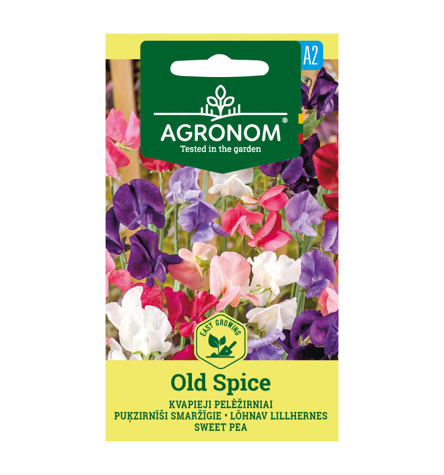 Ærteblomst, 'OLD SPICE MIX", Lathyrus odoratus