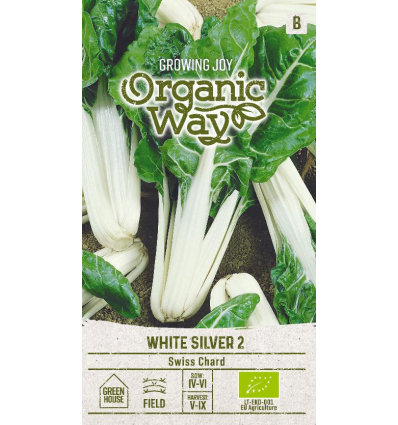 Bladbede 'WHITE SILVER 2', økologisk