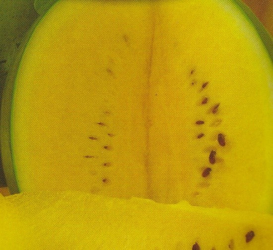 Vandmelon 'Janosik'