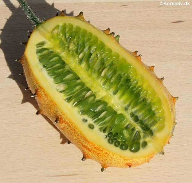 Hornmelon / Kiwano