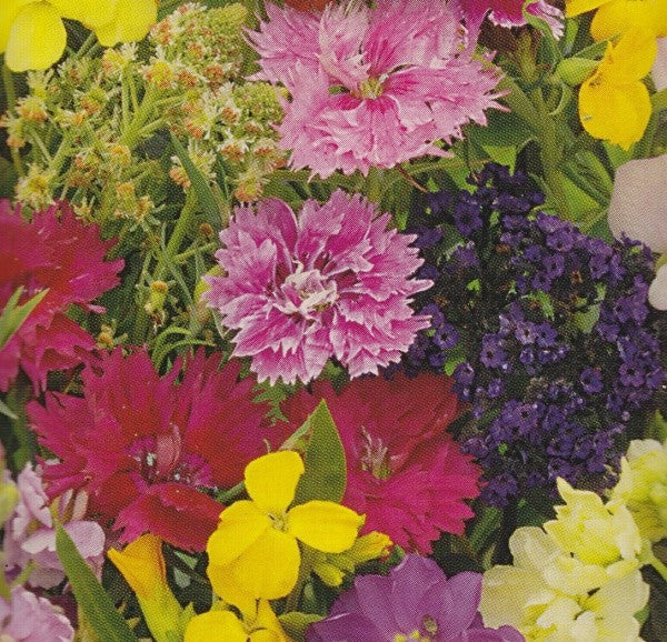 Blomsterblanding 'Fragrant flowers'