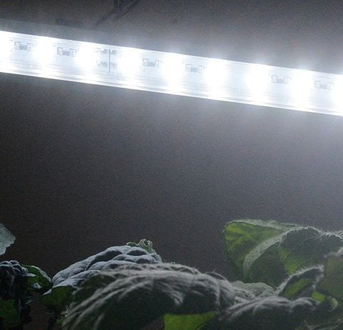 Vækstbelysning LED-panel, 61 cm, u/adapter