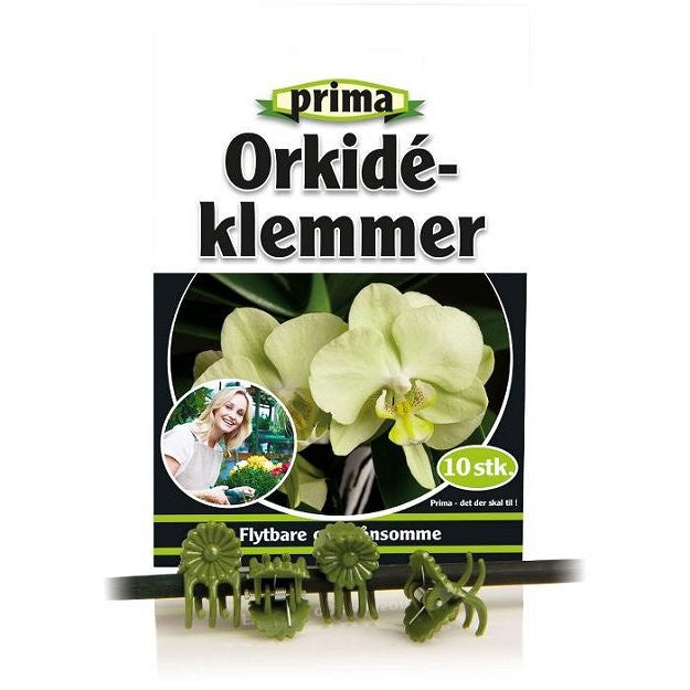 Orkidéklemmer, grøn