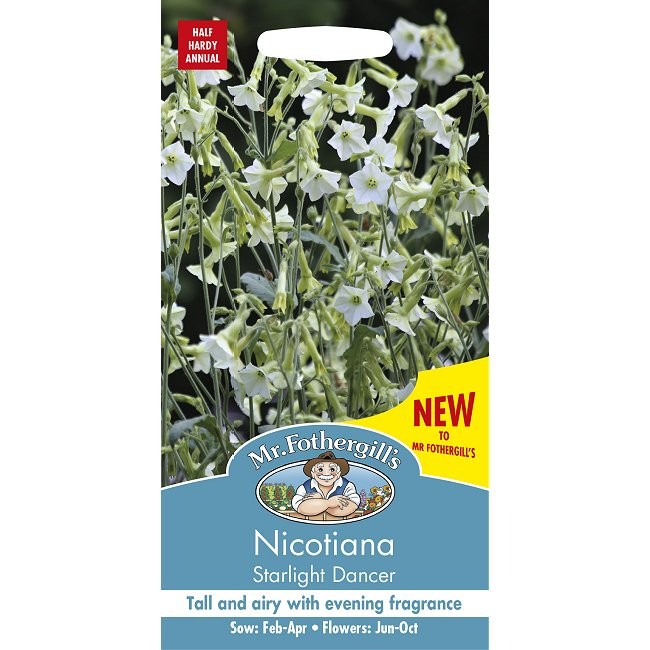 Nicotiana x hybrida 'Starlight Dancer', Prydtobak