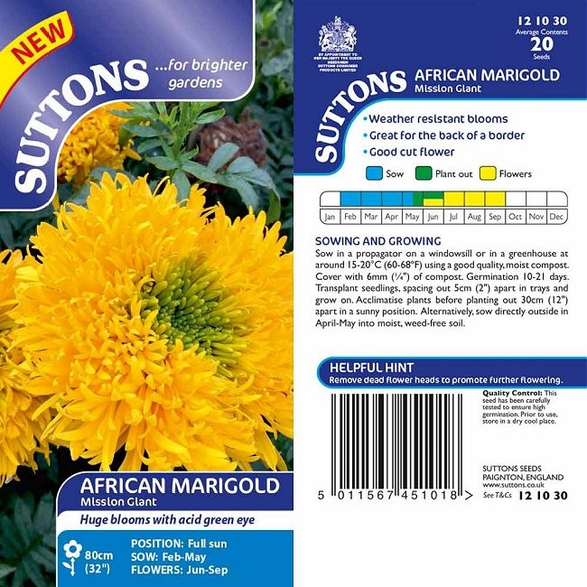 Tagetes erecta 'Mission Giant', Høj fløjlsblomst