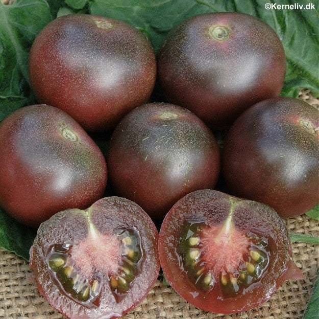 Cherrytomat 'Black Cherry', Økologisk