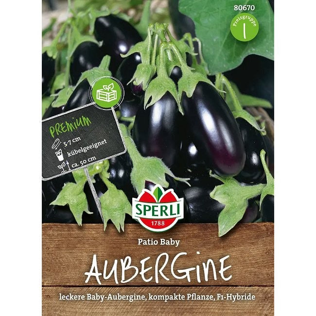 Aubergine 'Patio Baby F1'