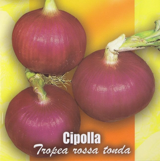 Rødløg 'Tropea Rossa Tonda'