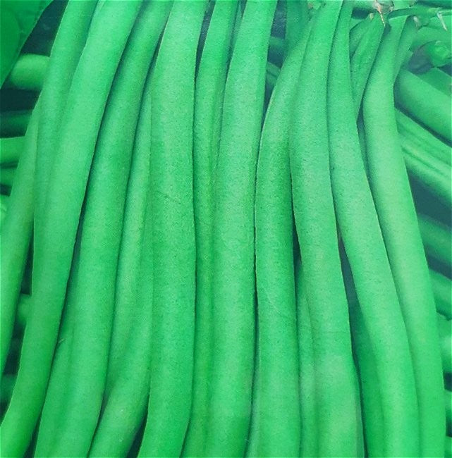 Stangbønne 'Cobra'