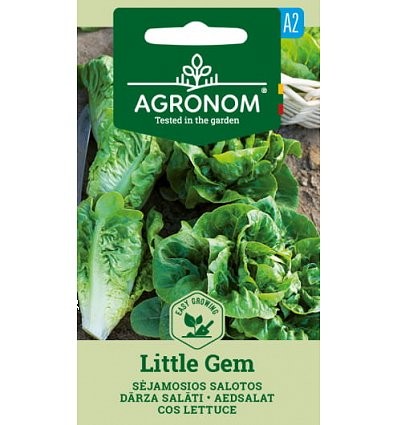 Romaine salat 'Little gem'