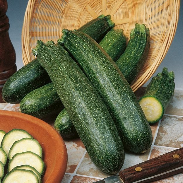 Squash/Courgette 'Black Beauty', Økologisk